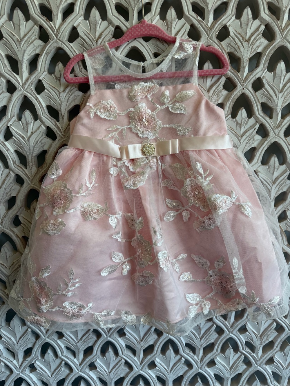 Rare Editions Girls 24M Pink Embroidered Tulle Formal Dress